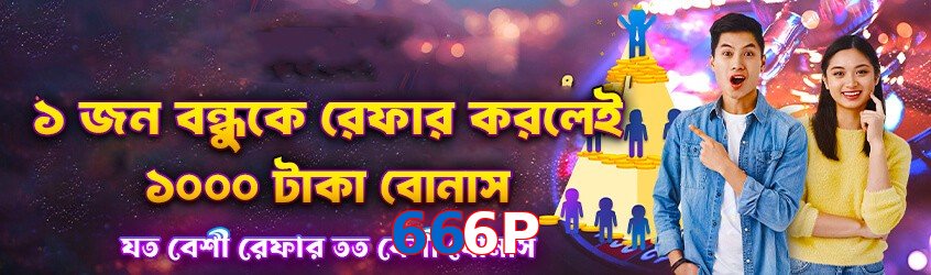 666P interface sample